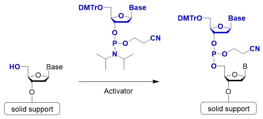 NucleicAcidChemistry_img05R.png