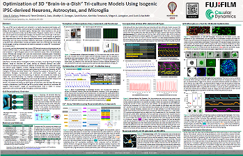 Optimization of a 3D Brain-in-a-dish Tri-culture Model Using Isogenic iPSC-derived Neurons, Astrocytes, and Microglia