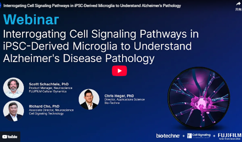 Interrogating cell signaling pathways in iPSC-derived microglia to understand Alzheimer's disease pathology