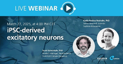 Advancing Neurodegenerative and Neurodevelopmental Drug Discovery by Investigating iPSC-derived Excitatory Neurons Using Automated Patch Clamp