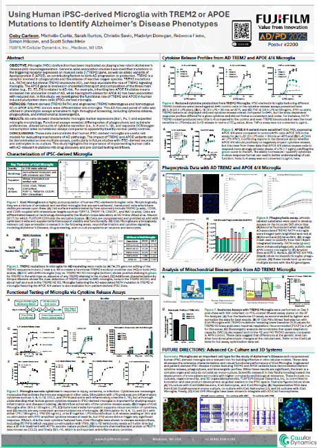 Using Human iPSC-derived Microglia with TREM2 or APOE Mutations to Identify Alzheimer's Disease Phenotypes