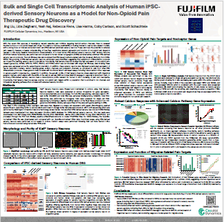Bulk and Single Cell Transcriptomic Analysis of Human iPSC-derived Sensory Neurons as a Model for Non-Opioid Pain Therapeutic Drug Discovery