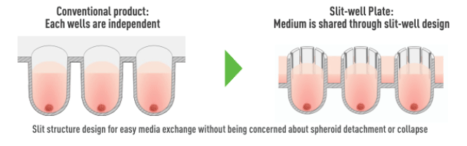 Medium is shared through slit-well design