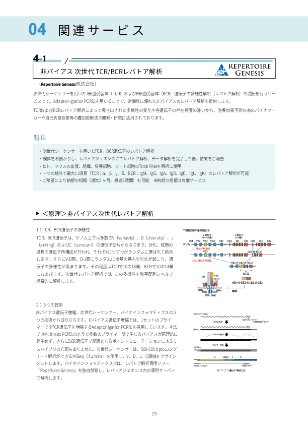 抗体関連受託サービスカタログイメージ