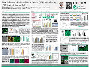 Establishment of a Blood-Brain Barrier (BBB) Model using iPSC-derived Human Cells