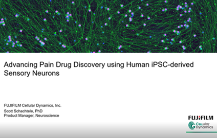 Advancing Pain Research and Drug Discovery Using iPSC-derived iCell Sensory Neurons