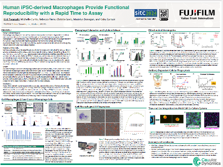 Human iPSC-derived Macrophages Provide Functional Reproducibility with a Rapid Time to Assay