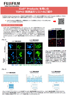 iCell® Products を用いたTDP43 関連論文リストのご紹介