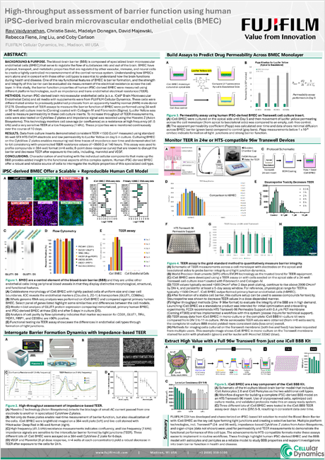 High-throughput assessment of barrier function using human iPSC-derived brain microvascular endothelial cells (BMEC)
