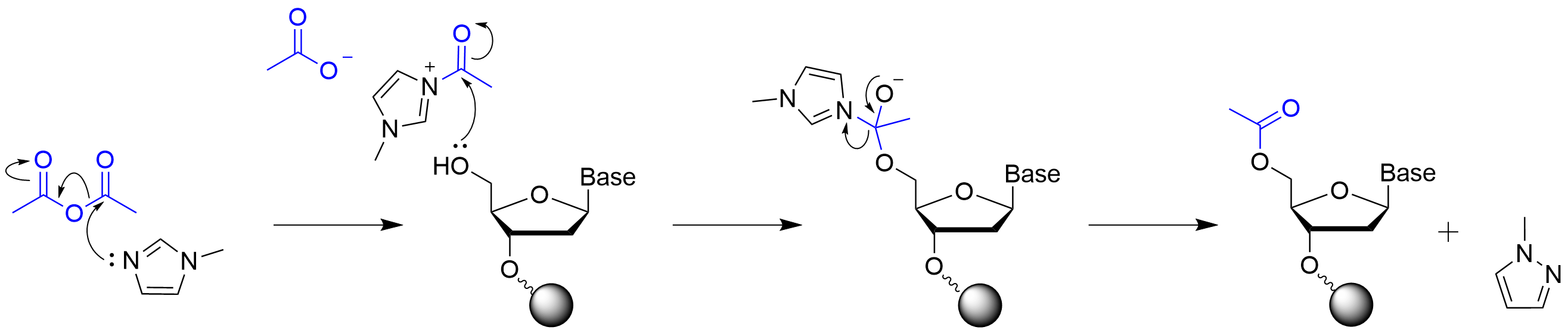 無水酢酸によるキャッピング反応