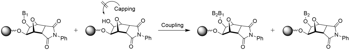 UnyLinker™ 二級水酸基の未キャップ化体由来の不純物の生成