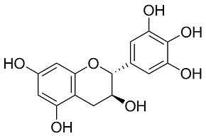 カテキン類 分析 製品情報 試薬 富士フイルム和光純薬