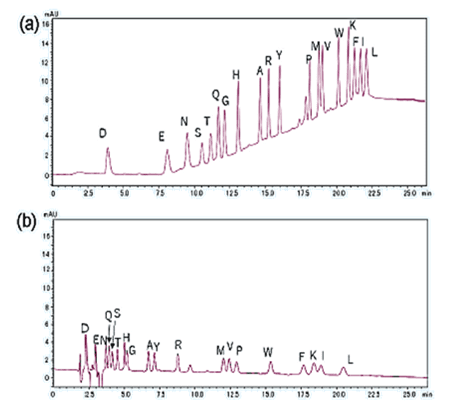 図3 : PTH- アミノ酸標準混合品の分析