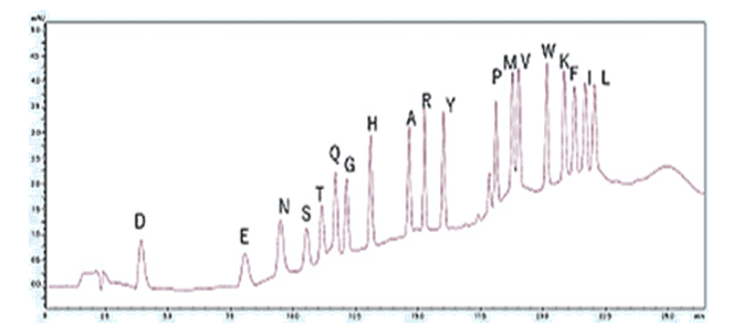 図4 : PTH- アミノ酸標準混合品の分析