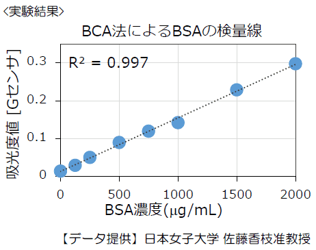 BCA法によるタンパク定量
