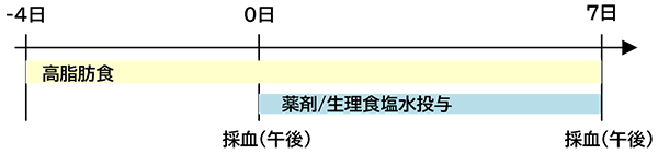 投薬スケジュール