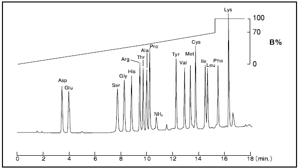 PTC誘導体化アミノ酸　17種の一斉分析例