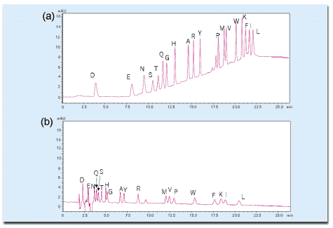 PTH-アミノ酸標準混合品の分析(2 pmol)