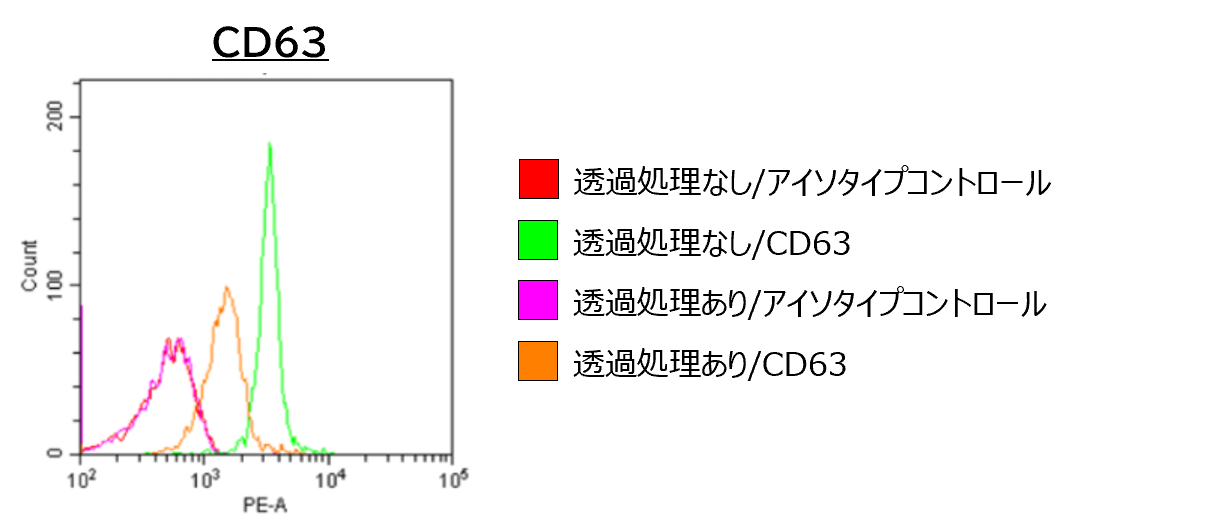 CD63