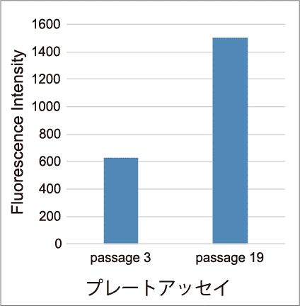老化細胞の検出 (プレートアッセイ)