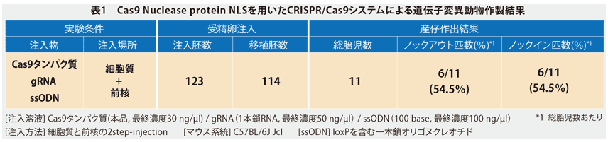 Cas9_Nuclease_protein_NLSを用いたノックインマウスの作製
