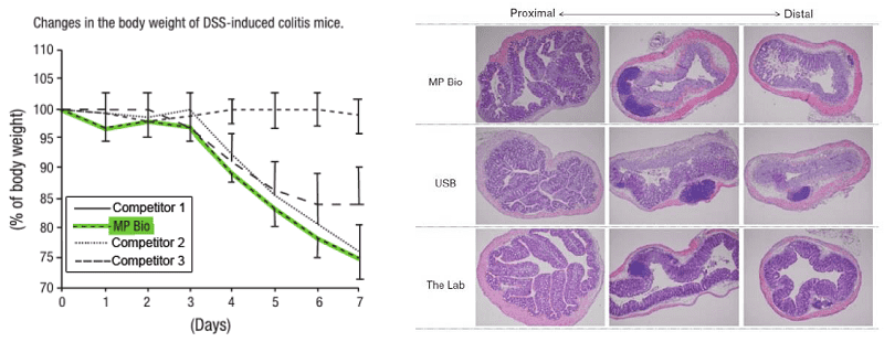 Changes in the body weight of DSS-induced colitis mice