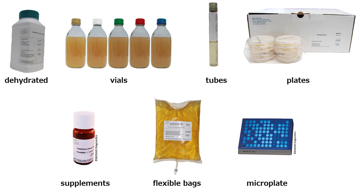 微生物検査培地 培養 製品情報 試薬 富士フイルム和光純薬