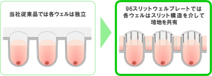 96スリットウェルプレートでは各ウェルはスリット構造を介して培地を共有
