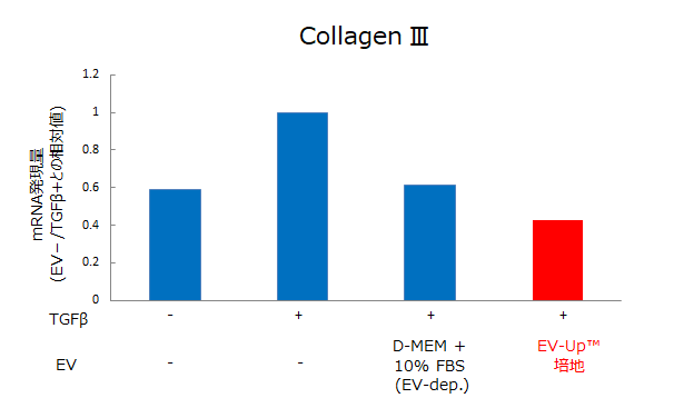 Collagen Ⅲ