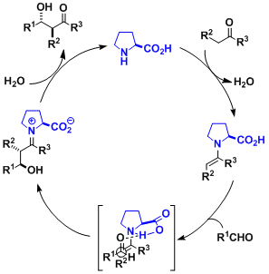 プロリンを触媒とする不斉アルドール反応の触媒サイクル