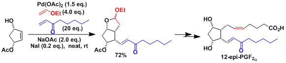 ワッカー酸化と溝呂木-Heck反応を組み合わせた反応例
