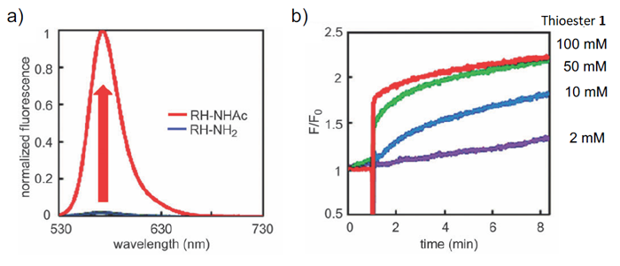 RH-NH2の蛍光特性(図3)