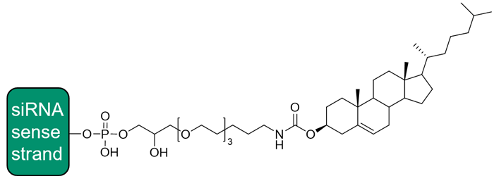 [模式図]Cholesteryl-TEG conjugated siRNA sense strand
