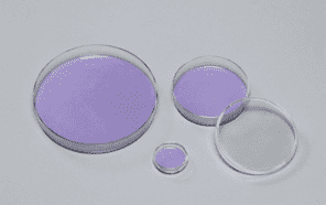 線維芽細胞培養後の固定・ギムザ染色写真