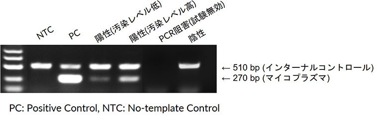PC: Positive Control, NTC: No-template Control