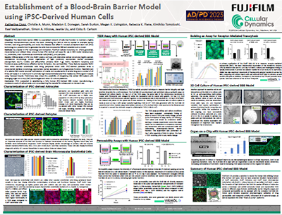Establishment of a Blood-Brain Barrier Model using iPSC-Derived Human Cells