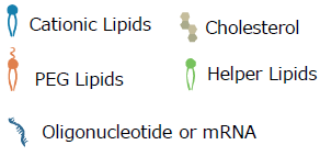 CL4H6-LNP の Cryo-TEM 像