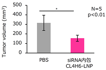 LNP 投与後の腫瘍組織サイズ