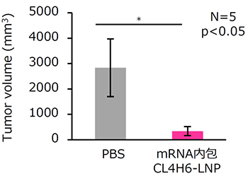 LNP 投与後の腫瘍組織サイズ
