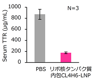 LNP 投与後の血中 TTR 濃度