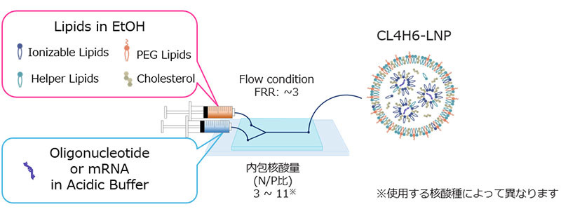 CL4H6 を用いた LNP 製剤の推奨作製条件