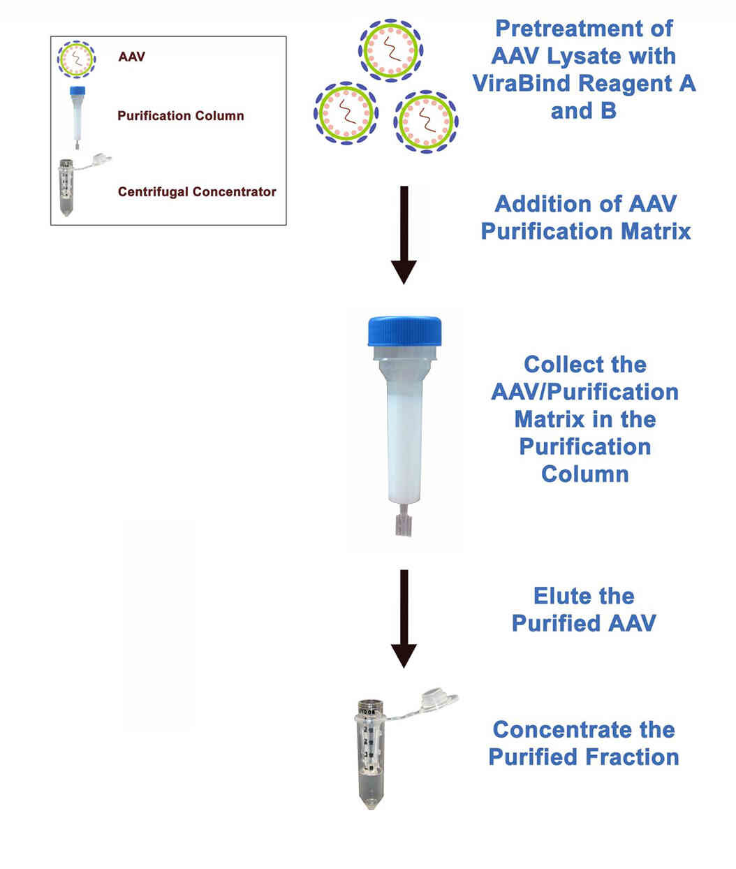 Mega Kit (#VPK-141) AAV精製の流れ