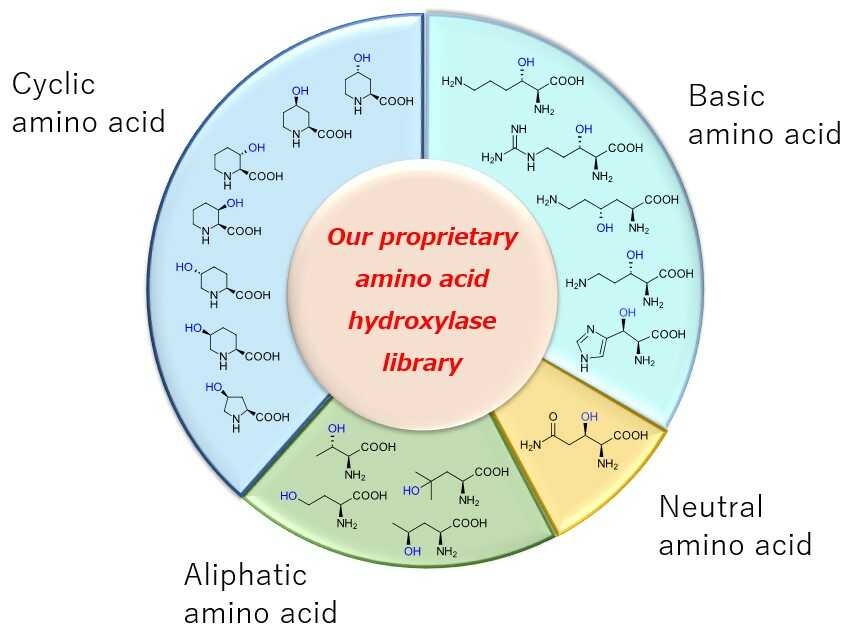 グラフ:水酸化アミノ酸合成技術