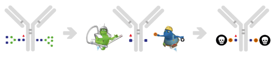 GlyCLICK® ADCワークフロー