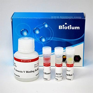 Biotium社　アポトーシス＆ネクローシス細胞染色キット