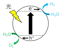 図1. 単一の光触媒の模式図(一段階光励起)