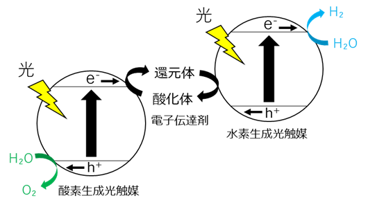 図2. Zスキーム型光触媒の模式図(二段階光励起)