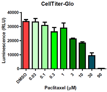パクリタキセル処理後の生存細胞数(CellTiter-Glo)