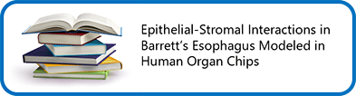 Epithelial-Stromal Interactions in Barrett’s Esophagus Modeled in Human Organ Chips