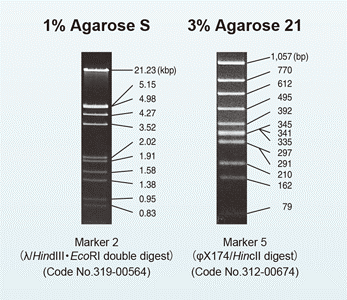 “Agarose